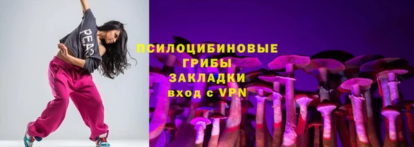 индика Балабаново