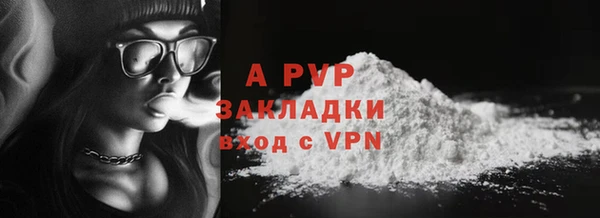 индика Балабаново