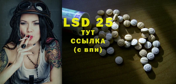 индика Балабаново