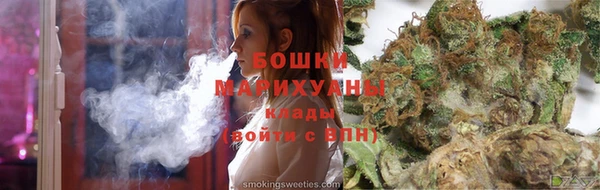 индика Балабаново